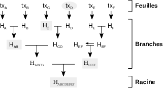 Représentation d’un arbre de Merkle à six feuilles.